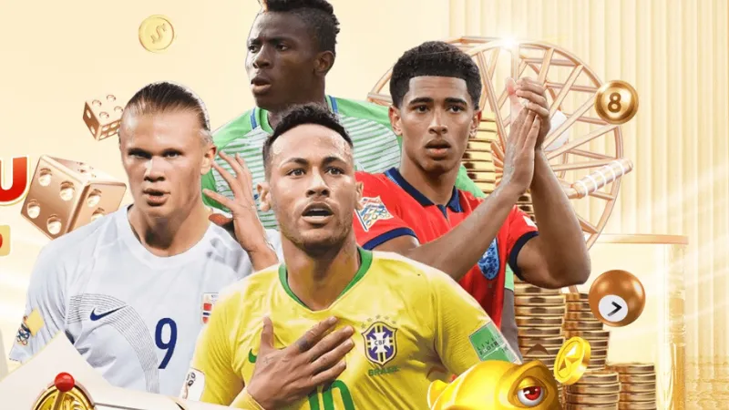 Tổng quan pháp lý của nhà cái bóng đá 8LIVE