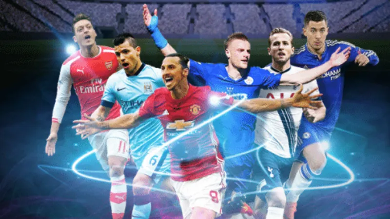 Tổng quan thương hiệu, giấy phép và mức độ minh bạch